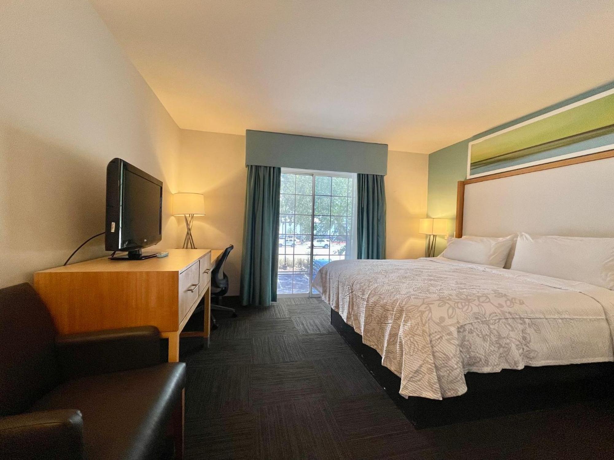 Superior Suite King Room Smoke Free