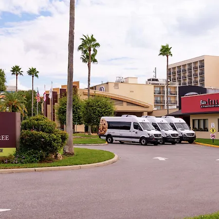 Doubletree By Hilton Hotel Tampa Airport-Westshore-3
