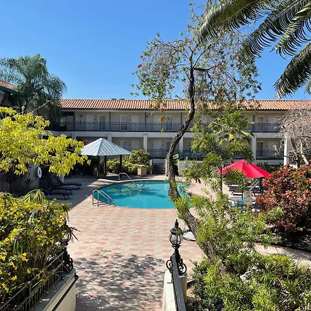 Red Roof Inn Plus & Suites Tampa - Busch Gardens-2