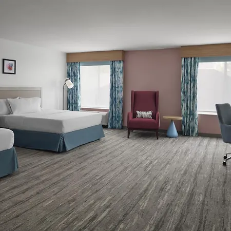 Hilton Garden Inn Tampa East Brandon-3