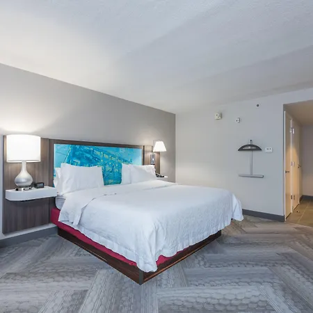 Hampton Inn Tampa-Veterans Expressway-3